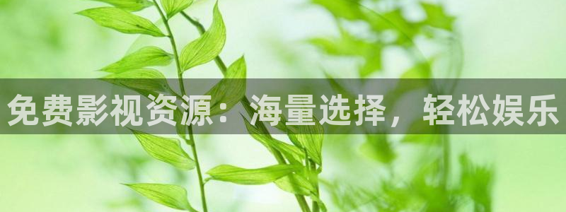 第七影院最新电视剧在线观看
